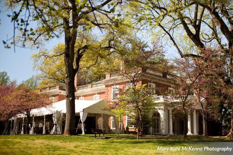 15542039 537512939789656 5390887978918592819 n 768x512