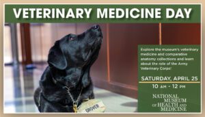 Veterinary Medicine Day at the Medical Museum