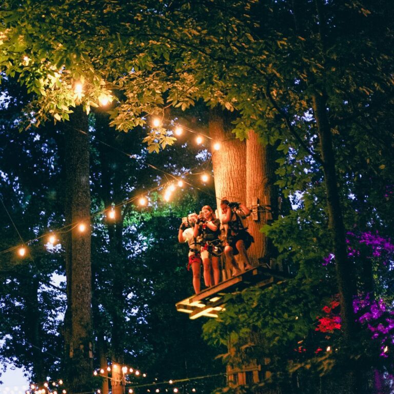 269693995 5036968499668847 6499180265516963721 n 768x768