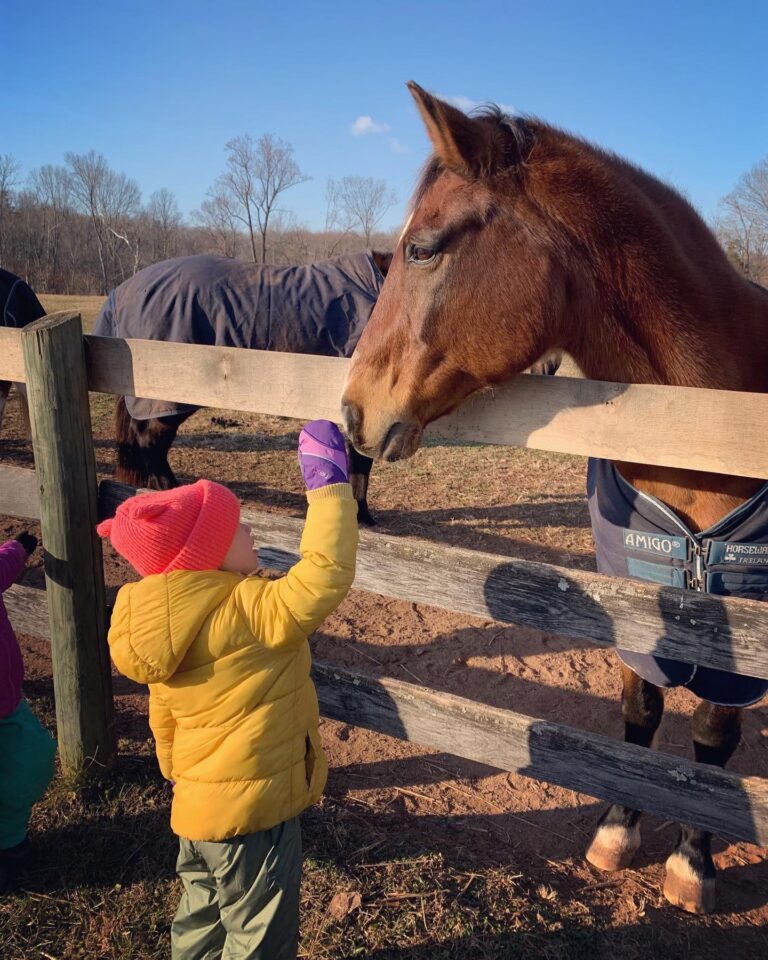 271215289 10152849351499999 1790055695173957078 n 768x960