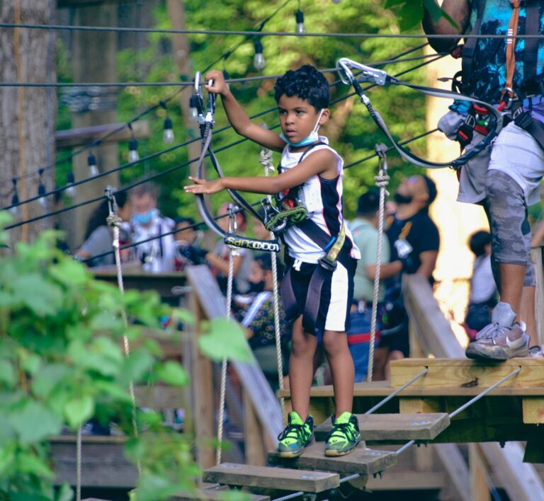 271286555 5092113587487671 1912333470243278737 n 768x708