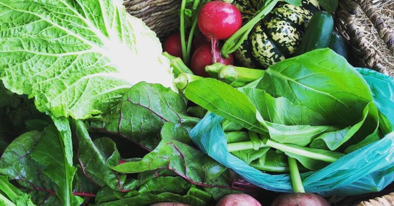 299023923 5490136177703823 6752863940811892611 n 768x402