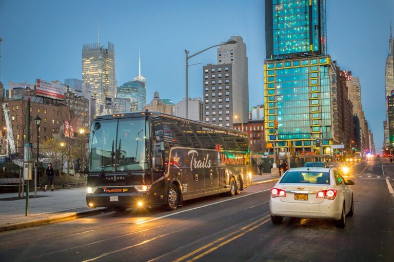 327271262 489451333369193 4928419142479561415 n 768x512