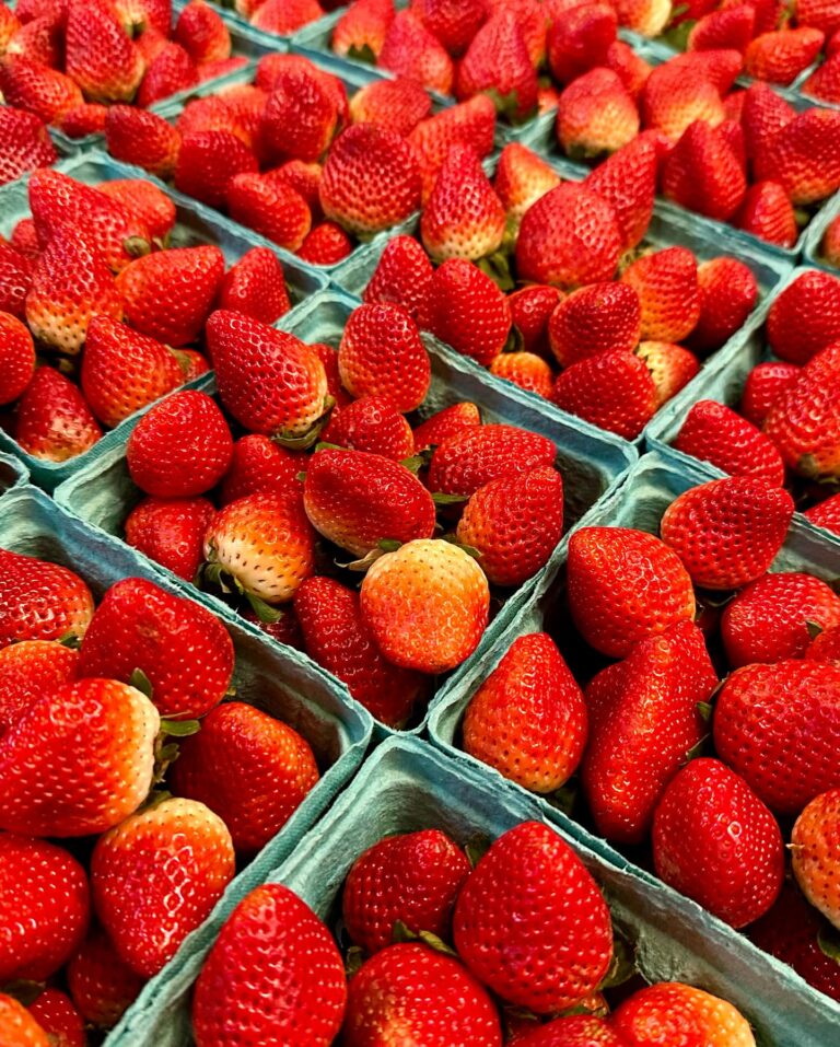 426741613 18215559829278723 3747962635942808036 n 768x957