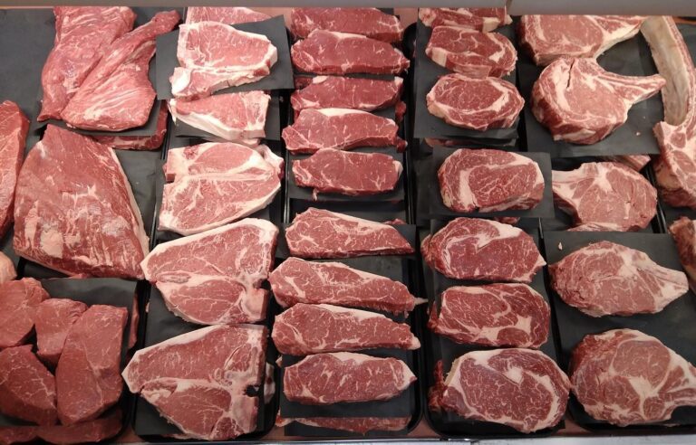 432779355 18220284064278723 5604802925926749100 n 768x492