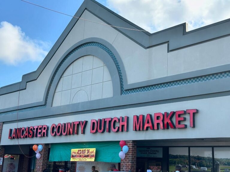 458165642 18239886541278723 4735170147765355895 n 768x576