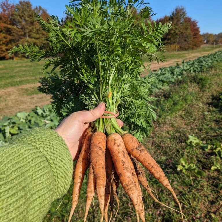 481253387 1060756069429542 3516547363684418737 n 768x768