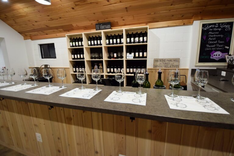 61vineyardstasting 768x512