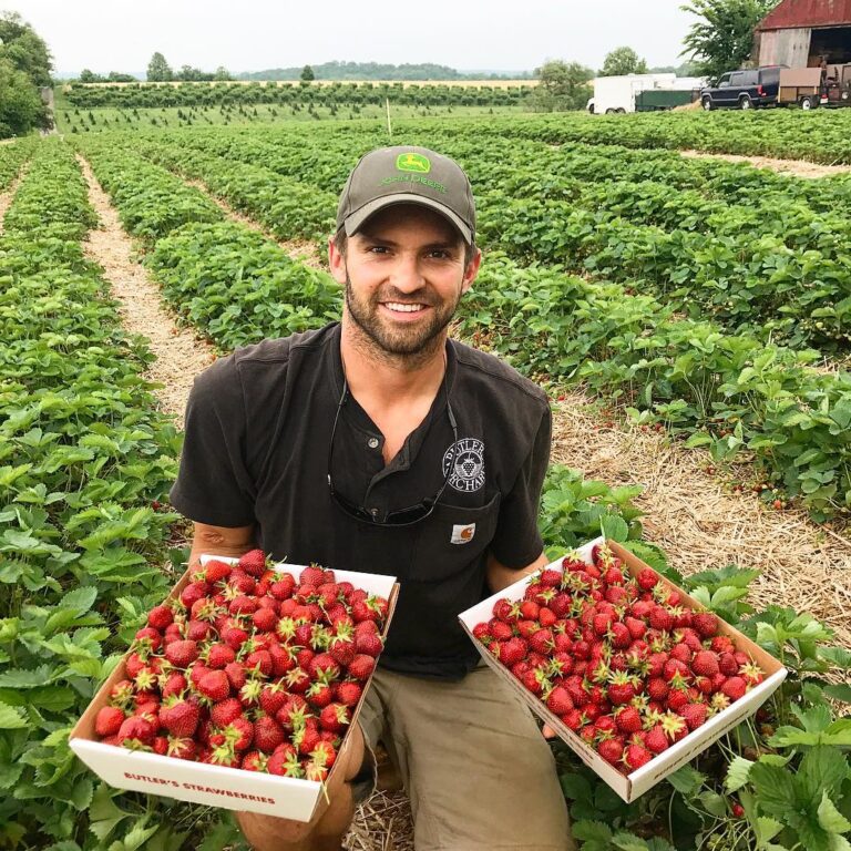 Butlers Orchard Strawberries 768x768