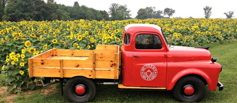 Butlers Orchard Truck VisitMontgomery 768x335