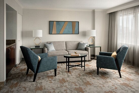 deluxe king suite living