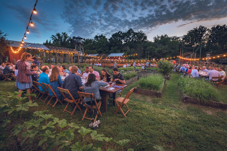 Dirty Dinner Farmscape 768x512