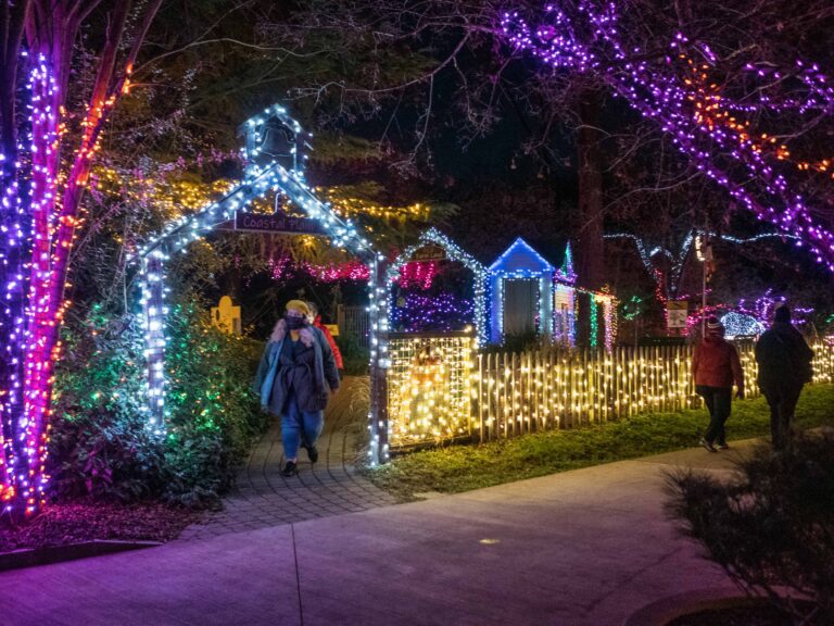 Garden Lights Web 768x576