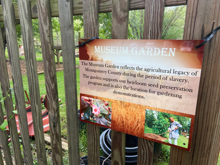 IMG 2700 1200 768x576