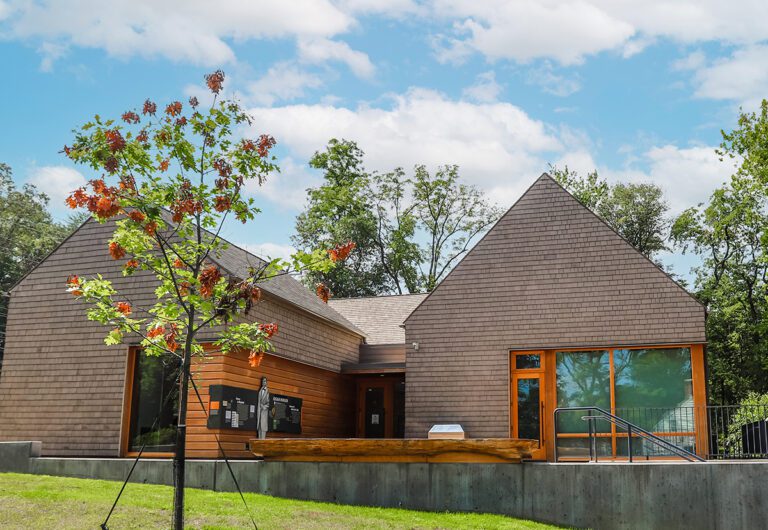 IMG 3804 2 sky 1200 768x530