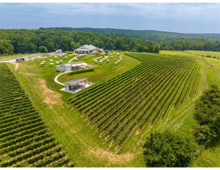 RF DJI 20230727132630 0021 D 768x594