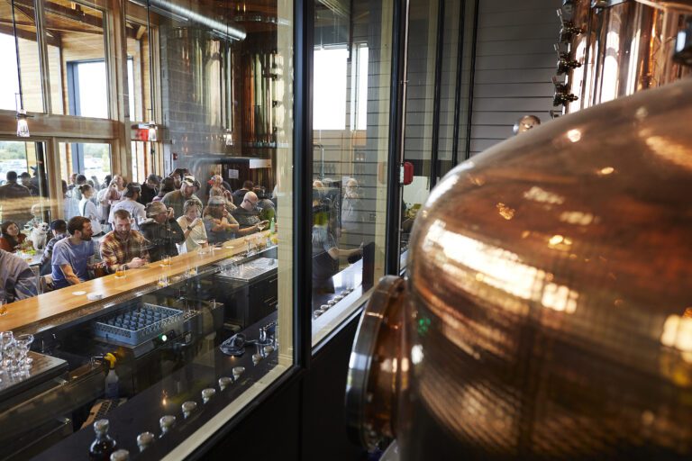 SongDog GrandOpening Oct2025 DebLindsey 01301 low res 768x512