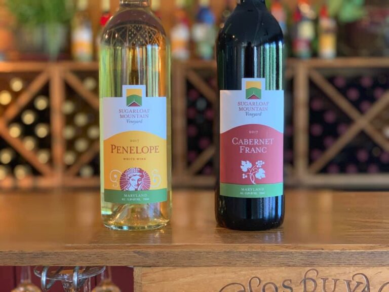 Sugarloaf Mountain 768x576