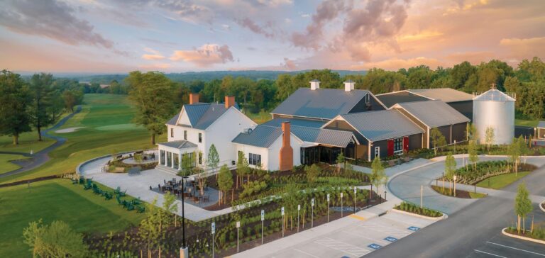 The Crossvines WEB 1 768x364